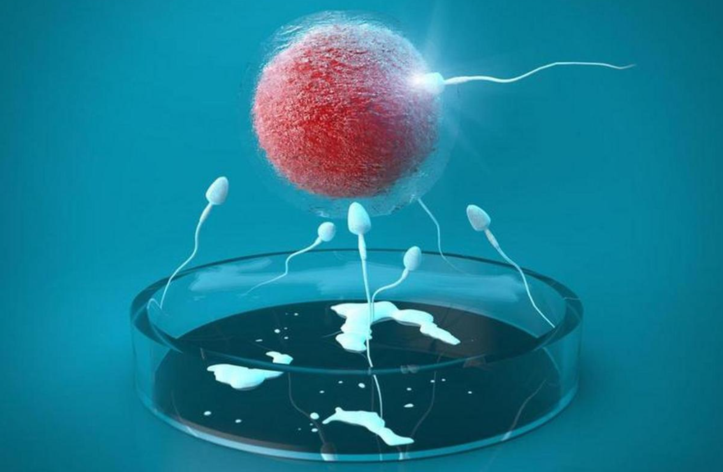 试管婴儿移植住院吗